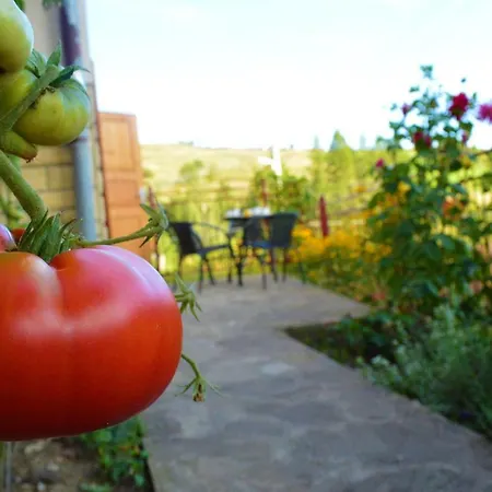 Lejlighed Livia Litmanová