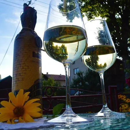 Livia Lejlighed Litmanová